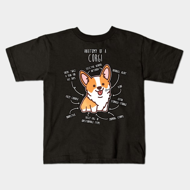 Corgi Dog Anatomy Kids T-Shirt by Psitta